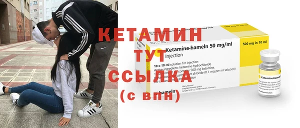 ПСИЛОЦИБИНОВЫЕ ГРИБЫ Новозыбков