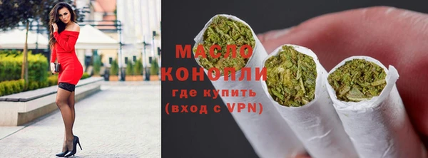 ПСИЛОЦИБИНОВЫЕ ГРИБЫ Новозыбков