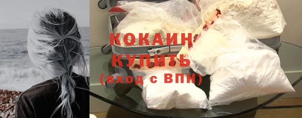 ПСИЛОЦИБИНОВЫЕ ГРИБЫ Новозыбков