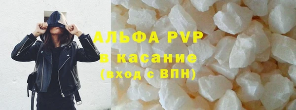 ПСИЛОЦИБИНОВЫЕ ГРИБЫ Новозыбков