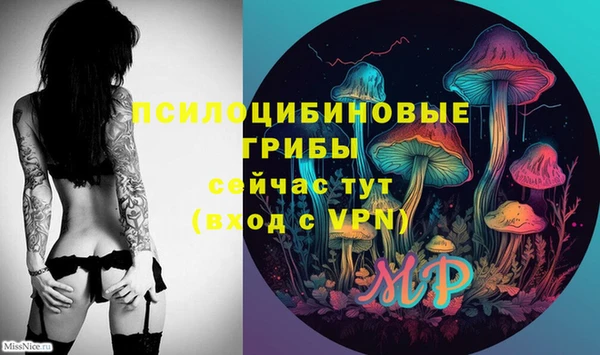 МДМА Новодвинск