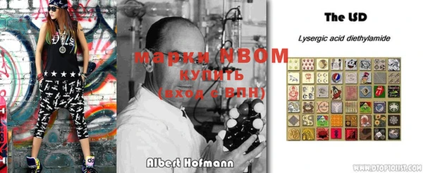 ПСИЛОЦИБИНОВЫЕ ГРИБЫ Новозыбков