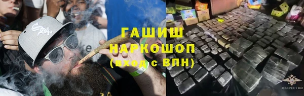 ПСИЛОЦИБИНОВЫЕ ГРИБЫ Новозыбков