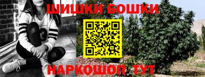 прущие грибы Гусь-Хрустальный