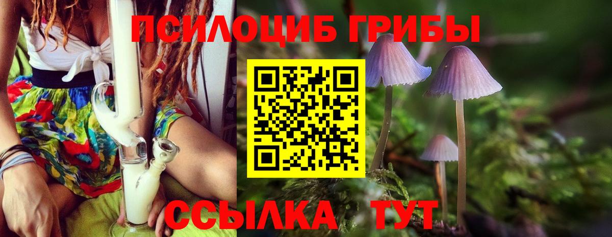 Псков  Галлюциногенные грибы мицелий  Вход с VPN  Псилоцибиновые грибы Psilocybe 